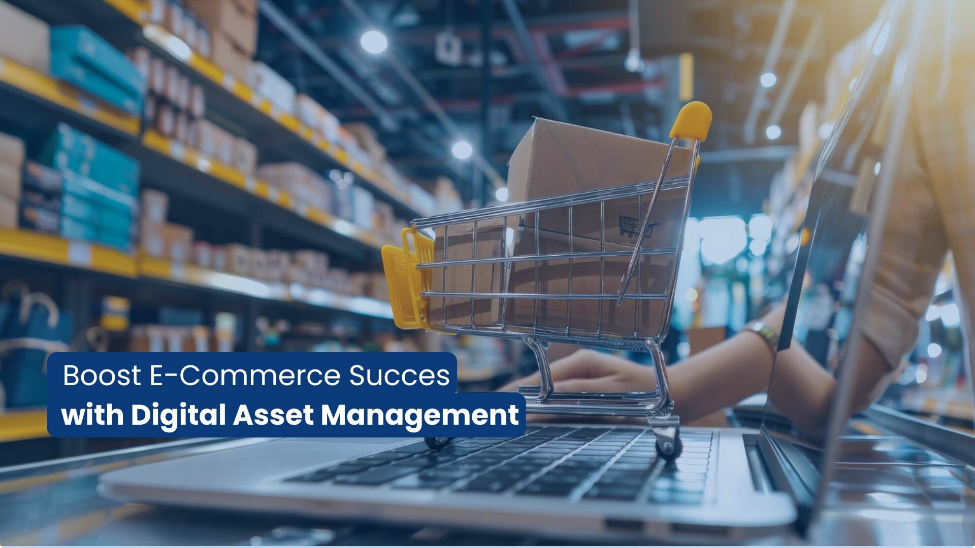 Why Digital Asset Management (DAM) is Crucial for E-Commerce Success