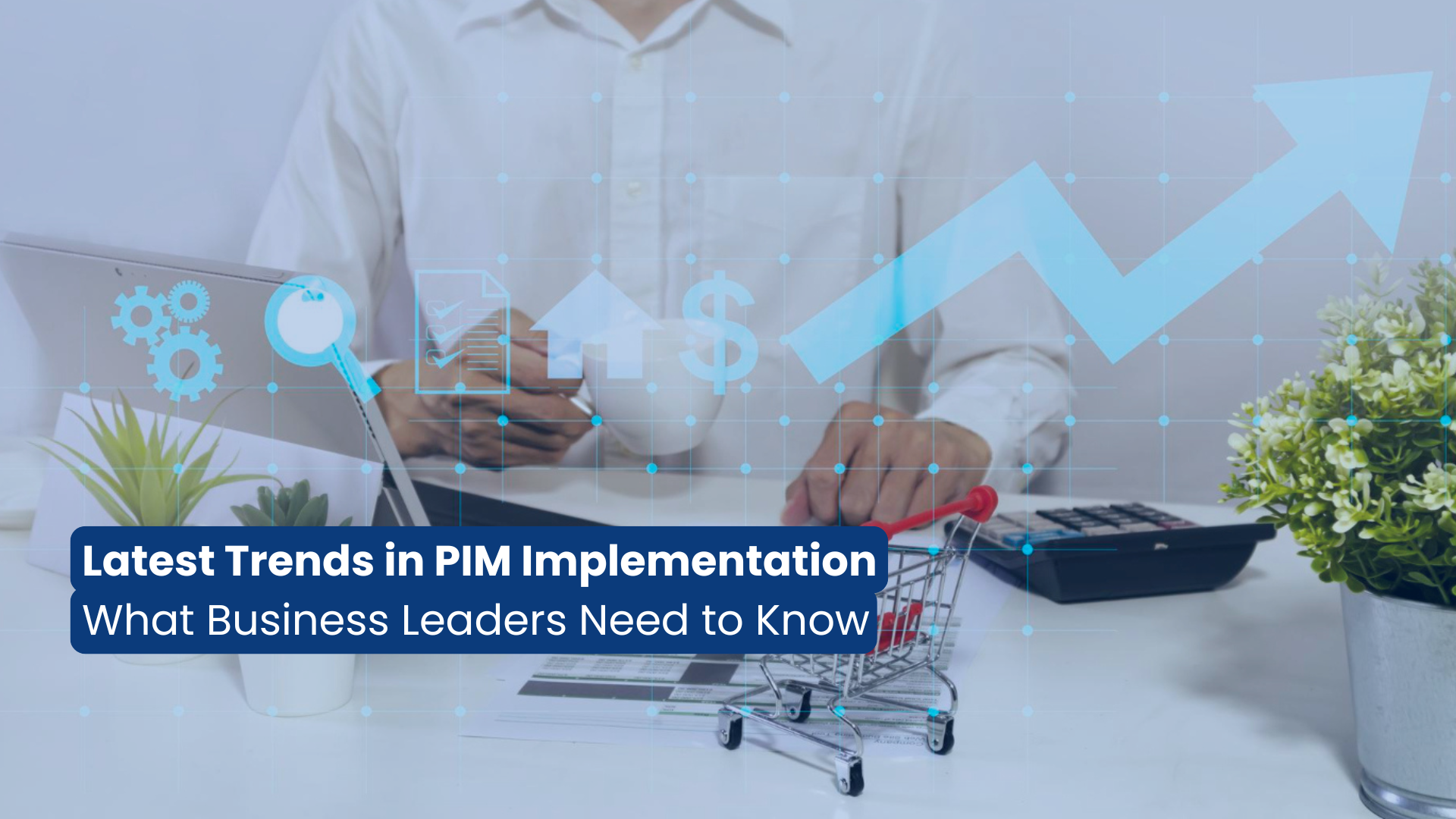 Latest Trends in PIM Implementation: What Business Leaders Need to Know
