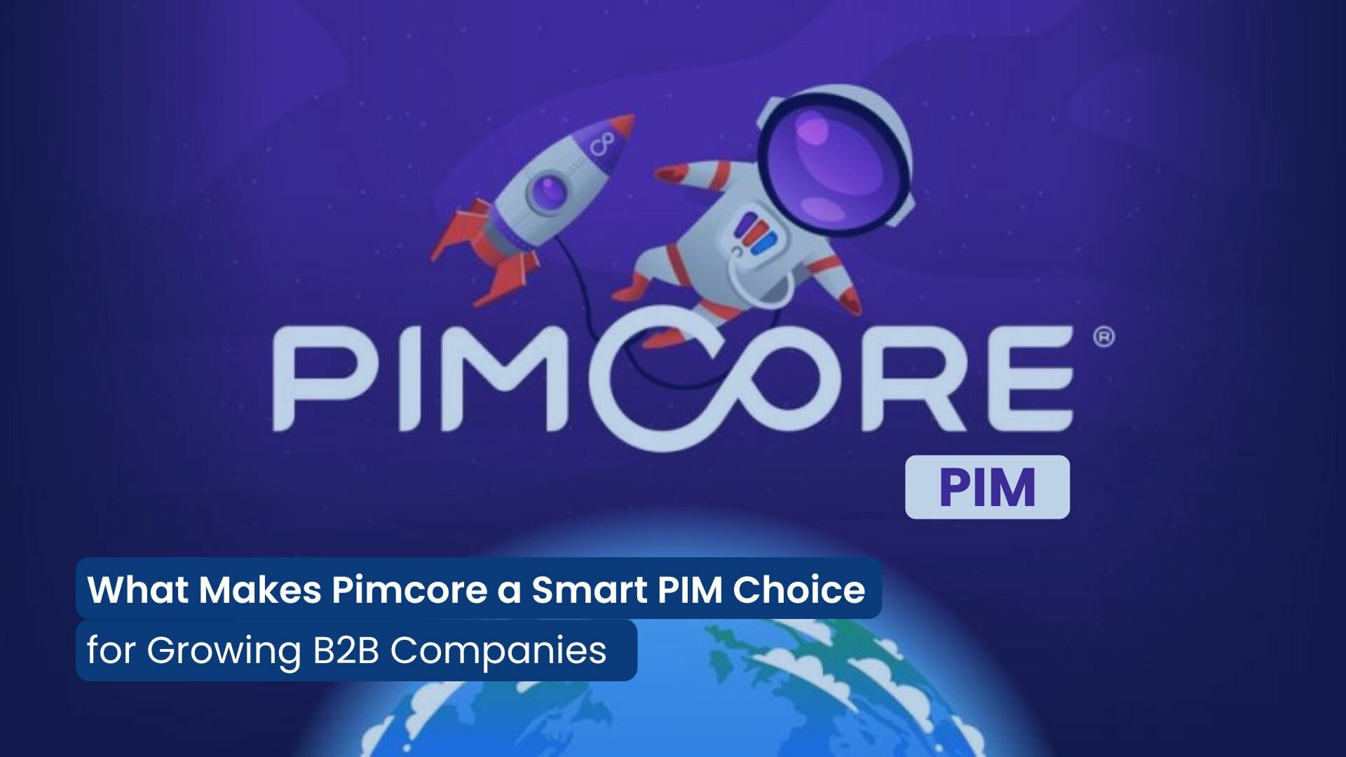 What Makes Pimcore a Smart PIM Choice for Growing B2B Companies in 2025?