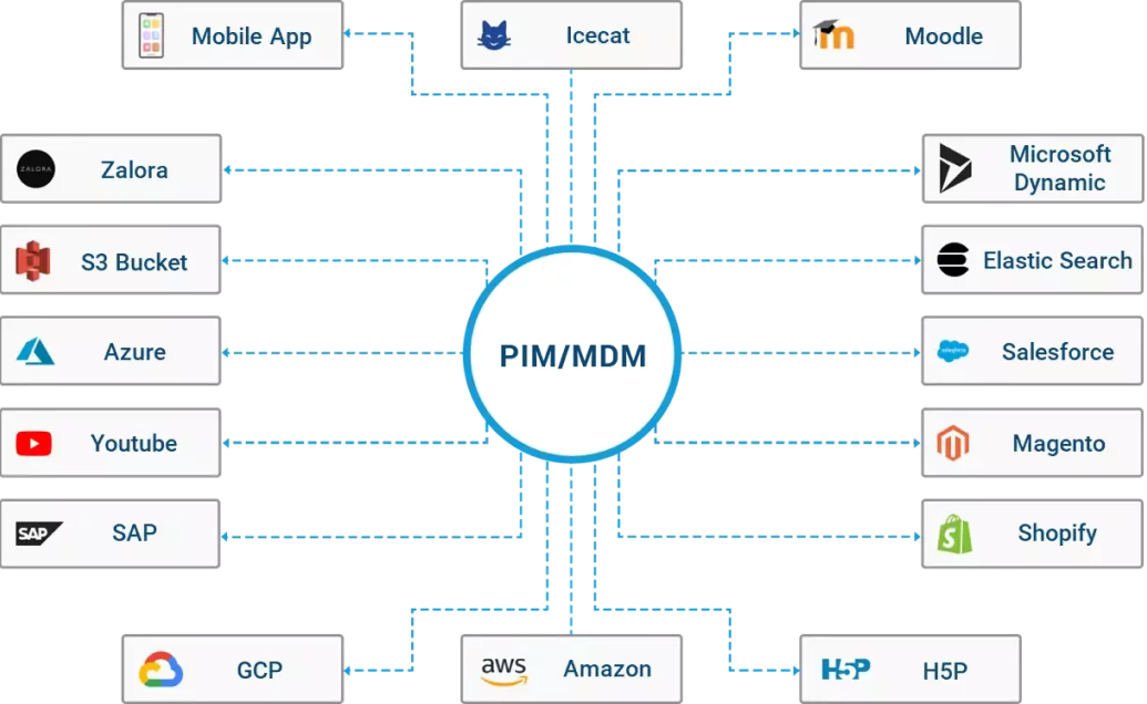 pimcore development company